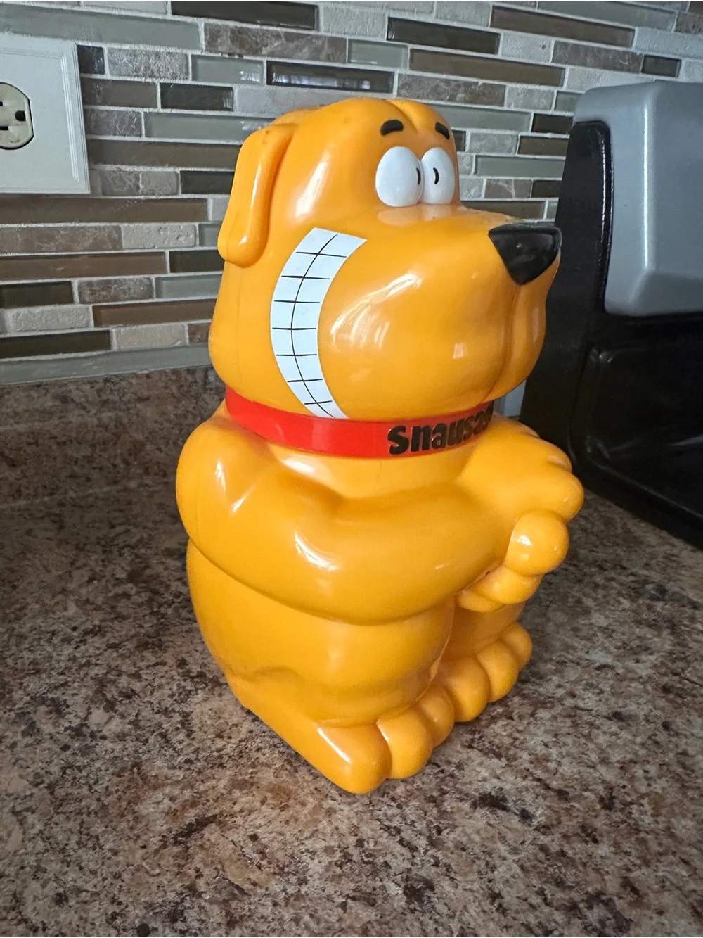 None playful dog